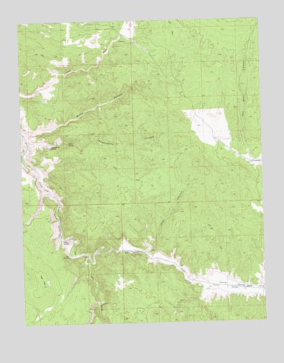 Islen, NV USGS Topographic Map