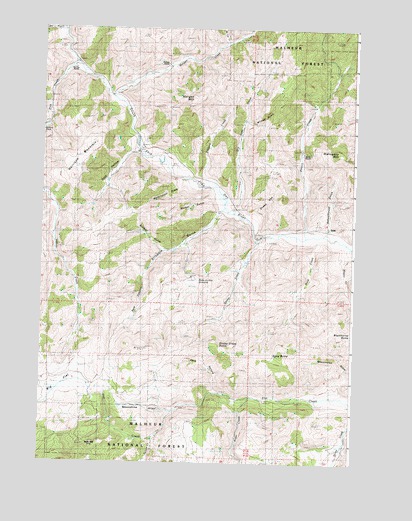 Izee, OR USGS Topographic Map