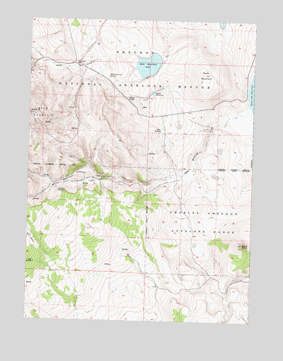 Bald Mountain, NV USGS Topographic Map