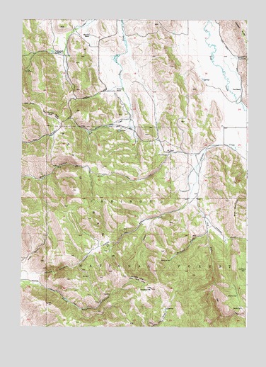 Johnson Creek, ID USGS Topographic Map