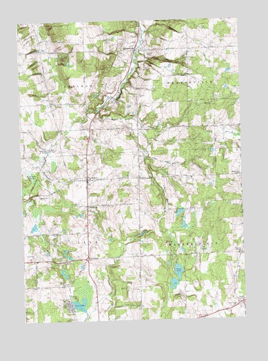 Johnsonburg, NY USGS Topographic Map