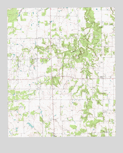 Joy, TX USGS Topographic Map