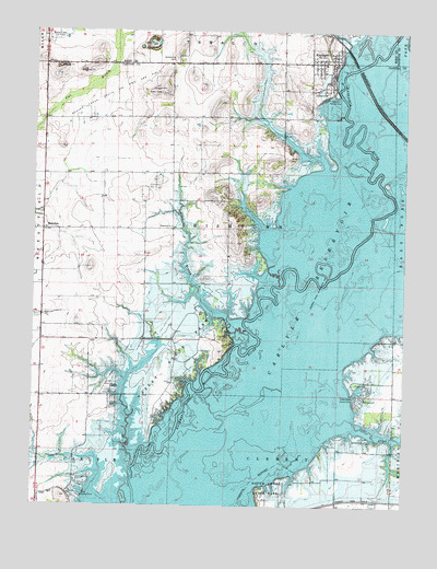 Keyesport, IL USGS Topographic Map