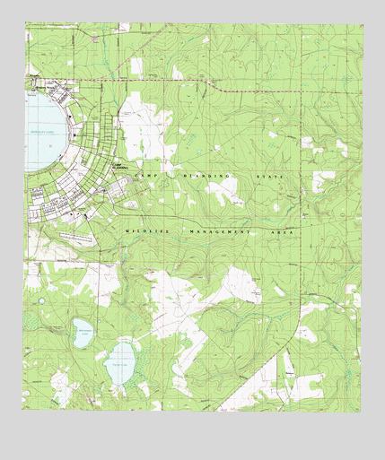 Kingsley, FL USGS Topographic Map