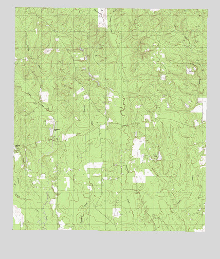 Kirkpatrick Lake, TX USGS Topographic Map