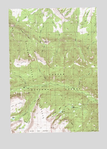 Bare Mountain, MT USGS Topographic Map