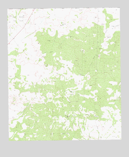 Kyle Ranch, TX USGS Topographic Map