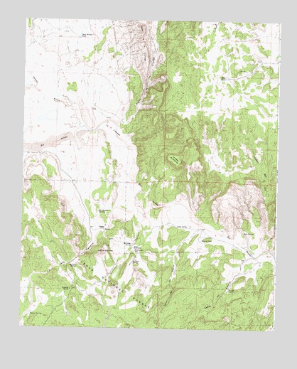 La Jara Peak, NM USGS Topographic Map