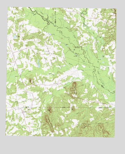 Lafayette, TX USGS Topographic Map