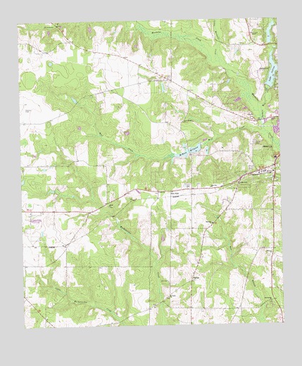 Lake Collins, GA USGS Topographic Map