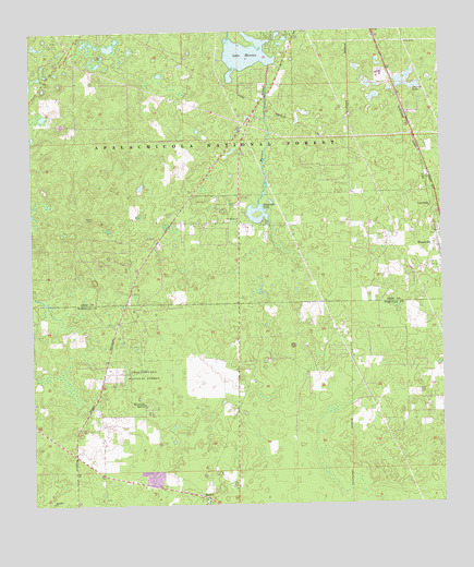 Lake Munson, FL USGS Topographic Map