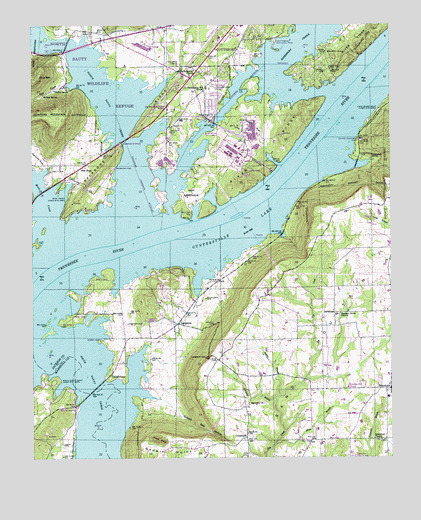 Langston, AL USGS Topographic Map