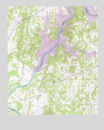 Laniers, AL USGS Topographic Map
