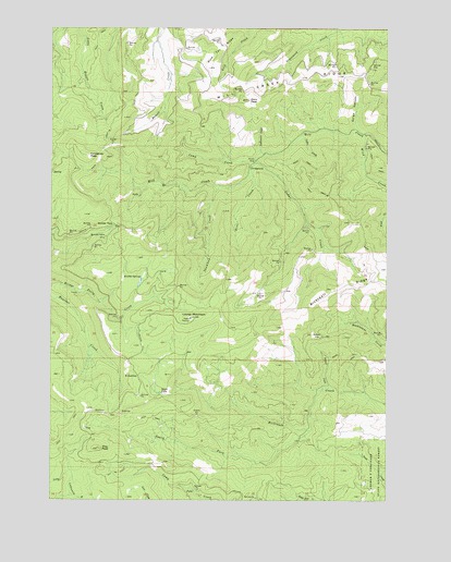 Laurel Mountain, OR USGS Topographic Map
