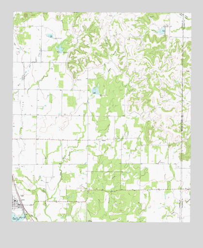 Lawn, TX USGS Topographic Map