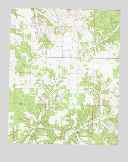 Leach, OK USGS Topographic Map