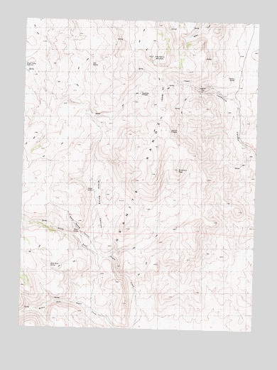 Leadville, NV USGS Topographic Map
