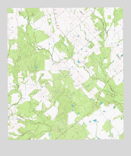 Leal, TX USGS Topographic Map