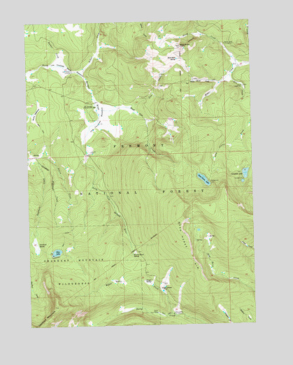 Lee Thomas Crossing, OR USGS Topographic Map
