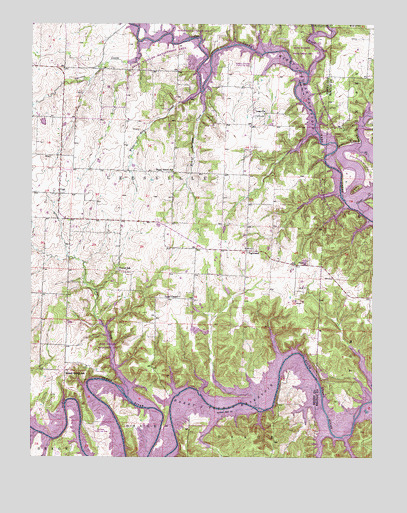 Leesville, MO USGS Topographic Map