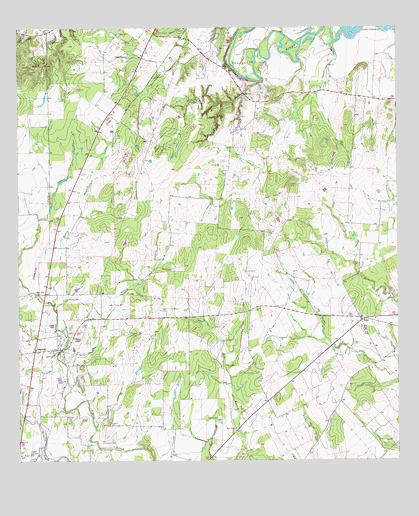 Leesville, TX USGS Topographic Map