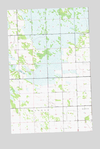 Leo, MN USGS Topographic Map