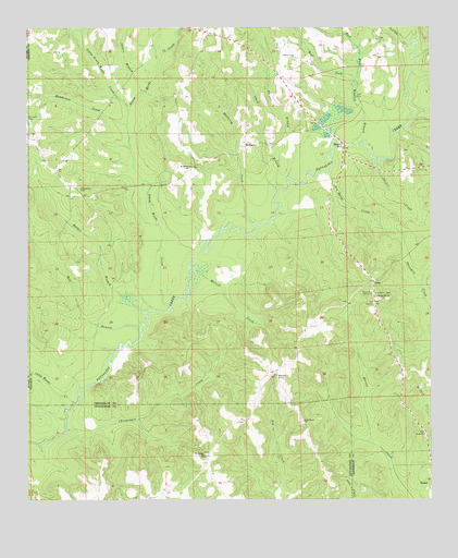Leon, AL USGS Topographic Map