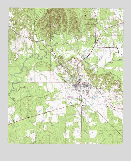 Linden, AL USGS Topographic Map