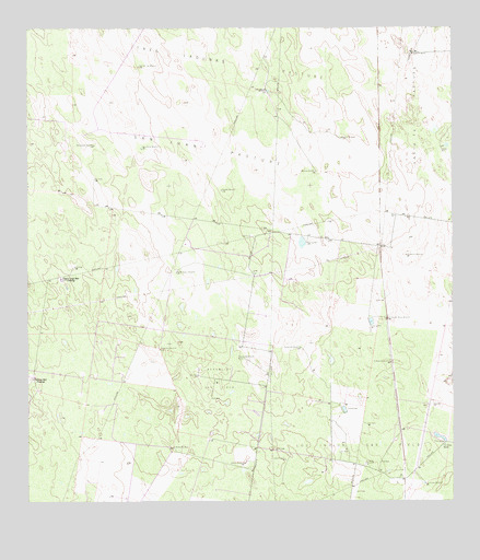 Linn NW, TX USGS Topographic Map