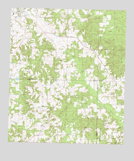 Bassfield, MS USGS Topographic Map