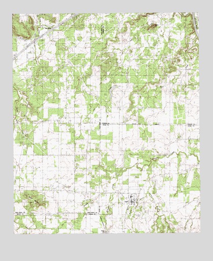 Lipan, TX USGS Topographic Map