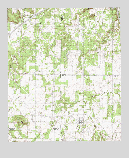 Lipan, TX USGS Topographic Map