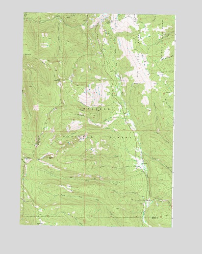 Little Baldy Mountain, OR USGS Topographic Map