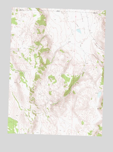 Little Coleman Canyon, NV USGS Topographic Map