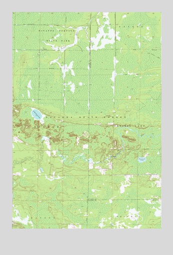Little Prairie Lake, MN USGS Topographic Map