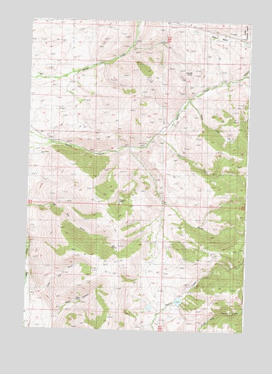 Agency Creek, ID USGS Topographic Map