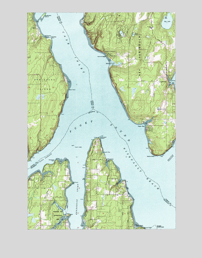 Longbranch, WA USGS Topographic Map