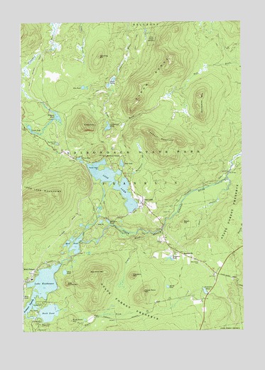 Loon Lake, NY USGS Topographic Map