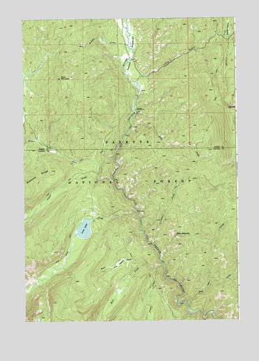 Loon Lake, ID USGS Topographic Map