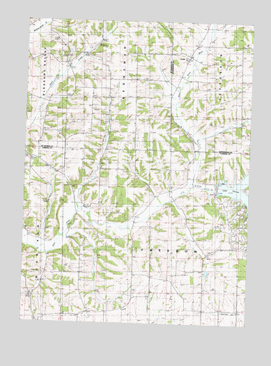Loran, IL USGS Topographic Map