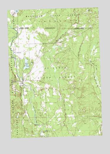 Lovells, MI USGS Topographic Map
