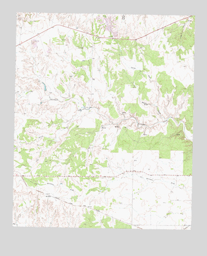 Mac Bain, TX USGS Topographic Map