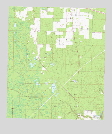 Madison SE, FL USGS Topographic Map