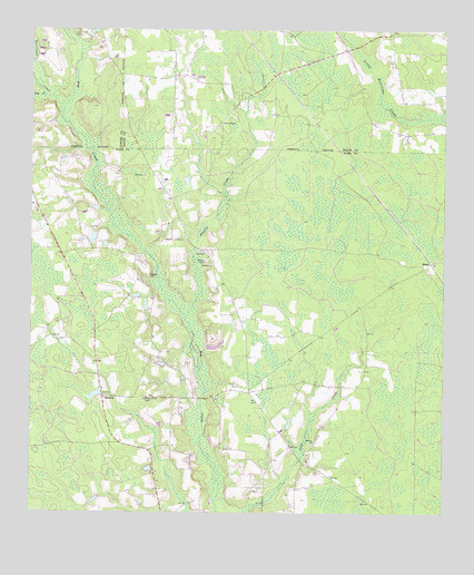 Beach, GA USGS Topographic Map