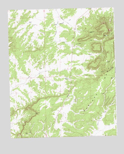 Mariano Springs, NM USGS Topographic Map