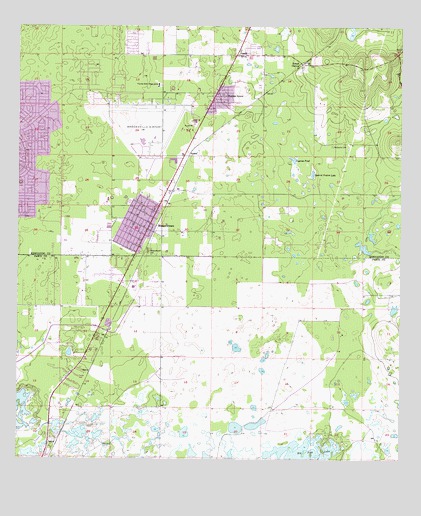 Masaryktown, FL USGS Topographic Map