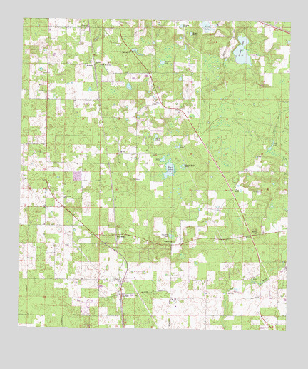 McAlpin, FL USGS Topographic Map