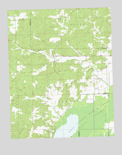 McGee, MO USGS Topographic Map