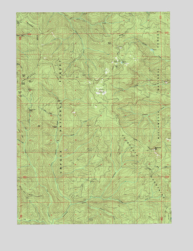 Bearbones Mountain, OR USGS Topographic Map