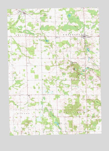 Mecosta, MI USGS Topographic Map